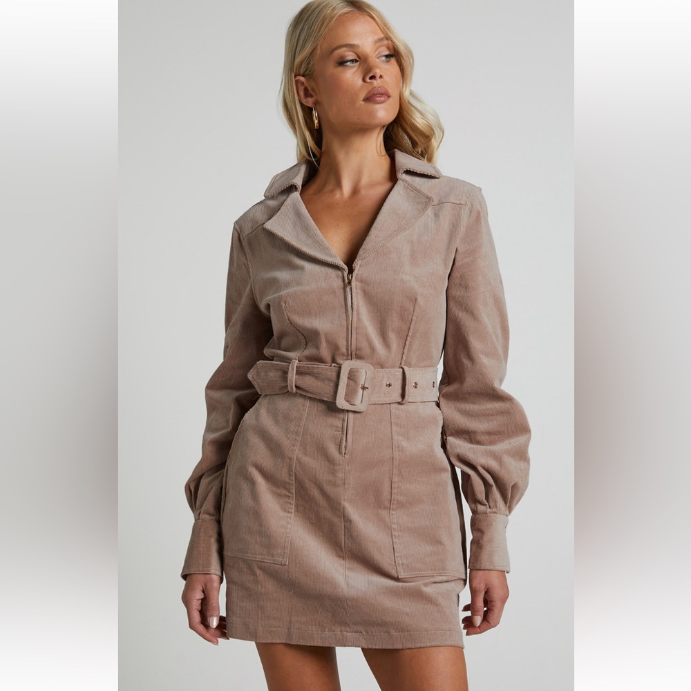 Showpo Lheya Mini Dress